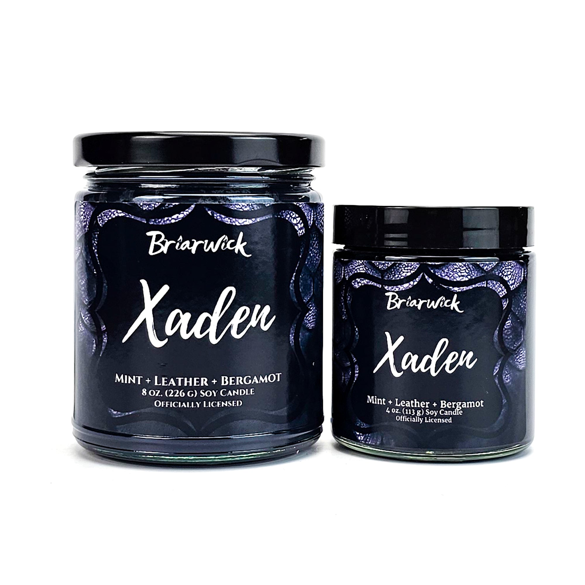 Xaden- Fourth Wing Officially Licensed Candle – Briarwick