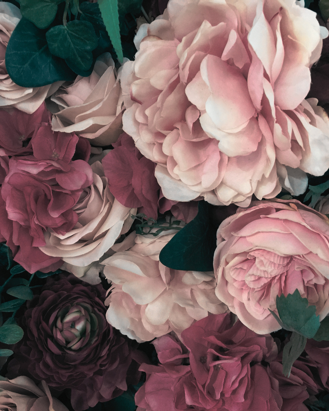 Close-up of pink and purple flowers with green leaves
