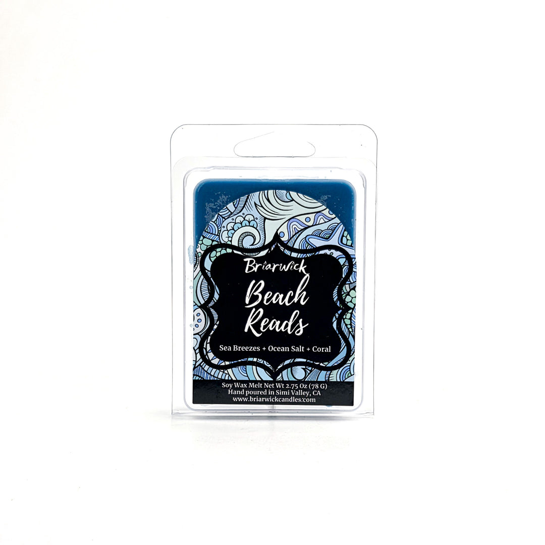 Beach Reads 2oz pastel blue Wax Melt with blue ornamental design on a white background