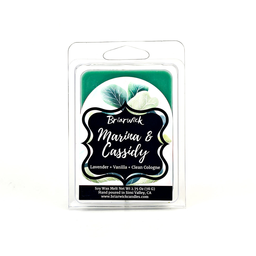 Marina & Cassidy 2oz blue green Wax Melt with pink/blue checker design on a white background