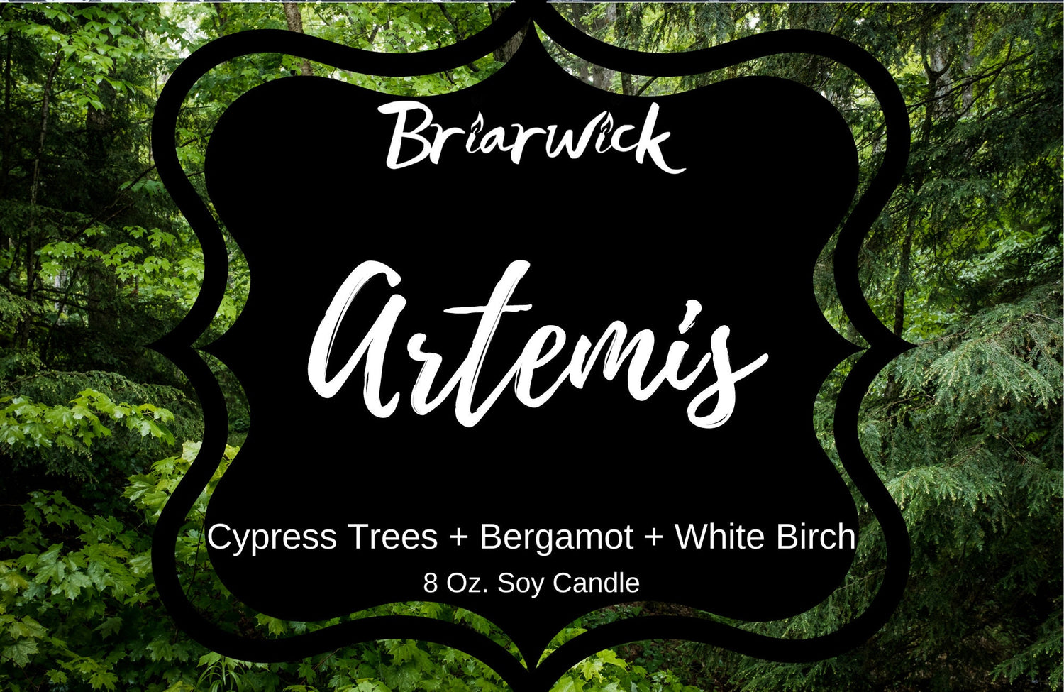 artemis cypress tree